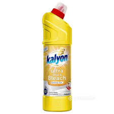 kalyon wc.jpg